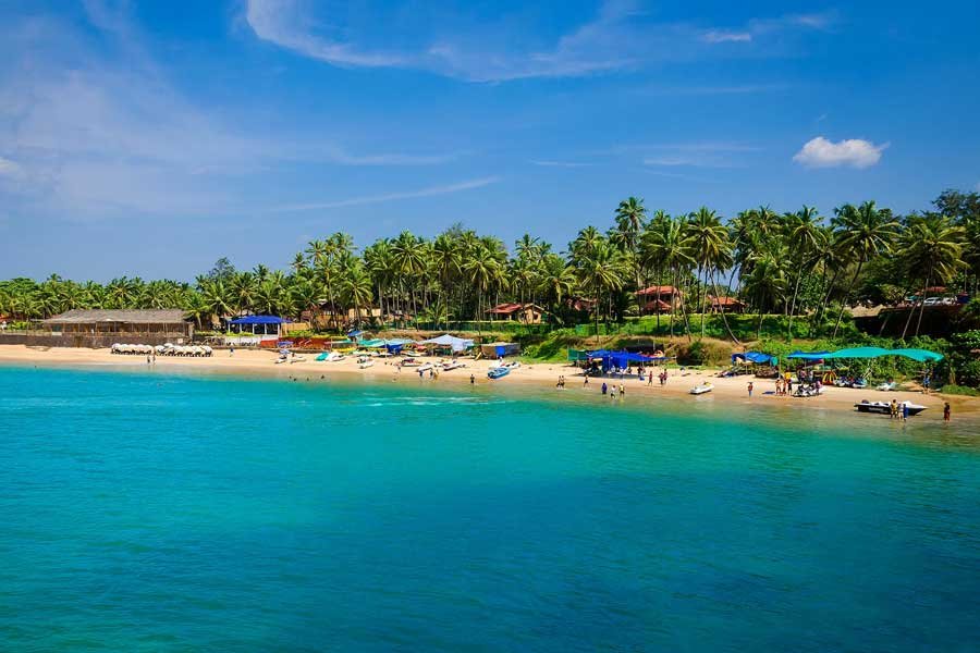 A scenic Goa beach with crystal-clear water, palm trees, and a relaxing tropical atmosphere